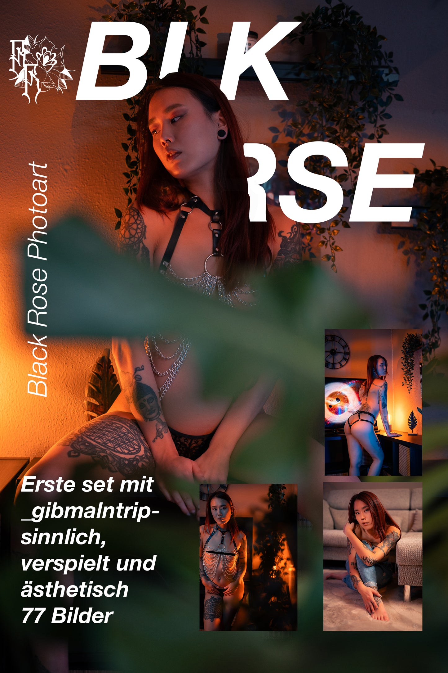_gibmalntrip_ set 1 ( 77 Bilder )