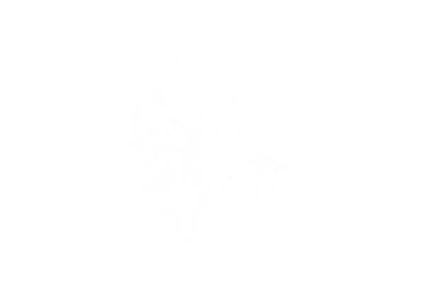 Black Rose