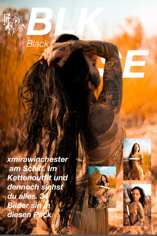 xmirawinchester Schilf Pack ( 34 Bilder )